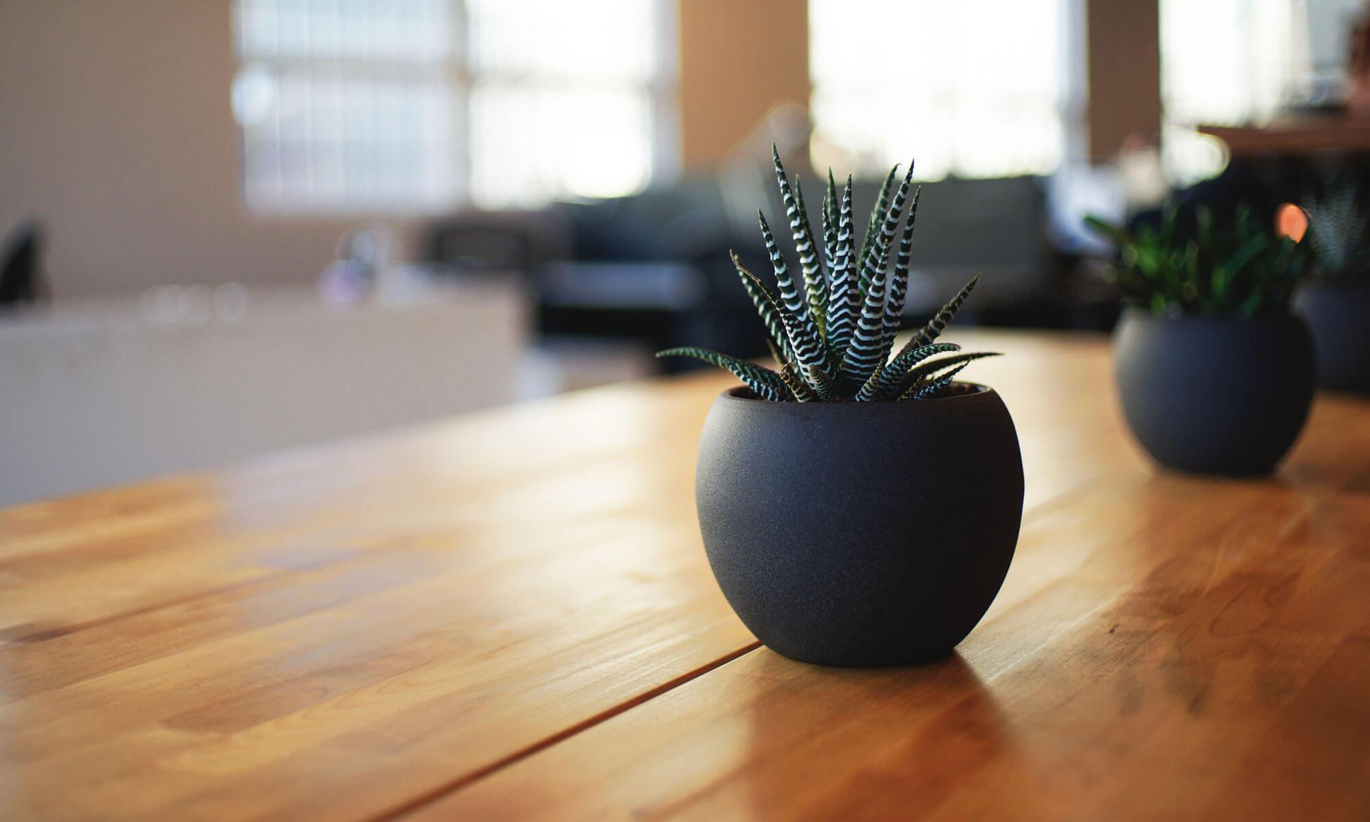 Big Marketing for Small and Mid-size Businesses